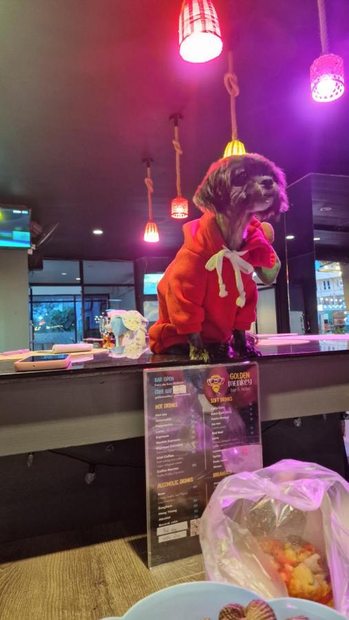 苏梅岛 Golden Monkey Samui酒店 外观 照片